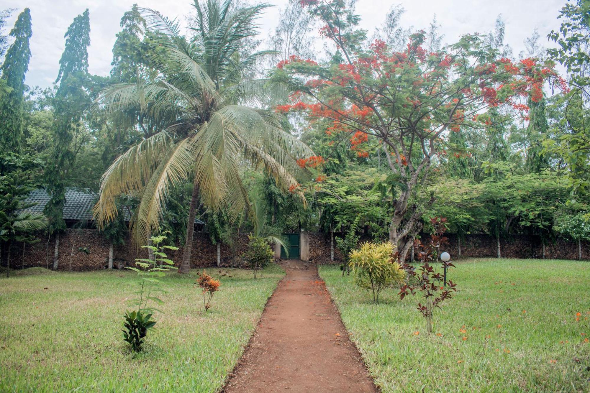 Kijani Cottages In Diani 迪亚尼海滩 外观 照片