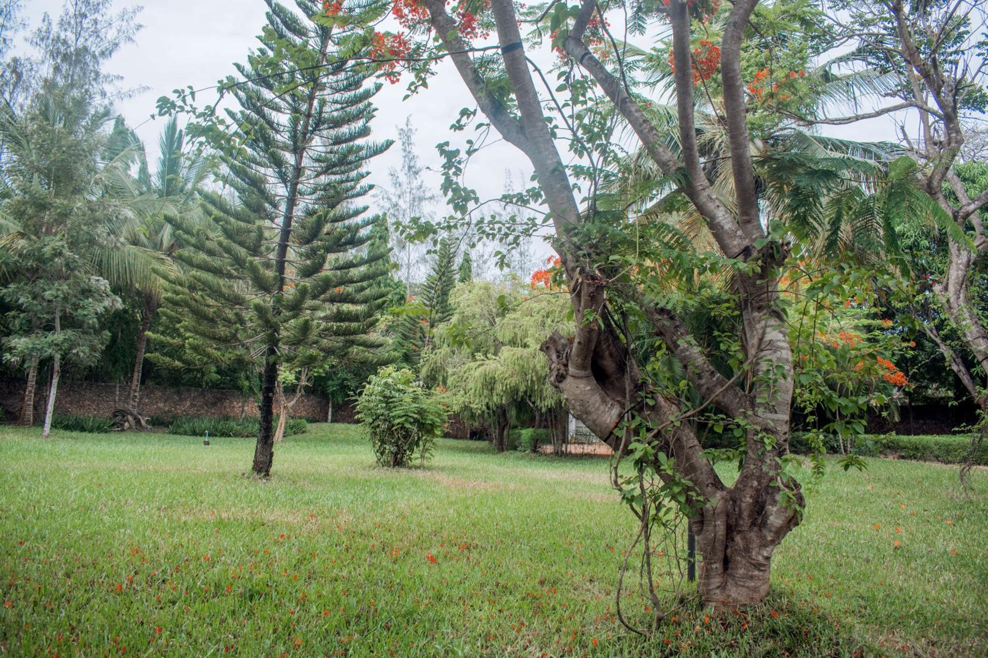 Kijani Cottages In Diani 迪亚尼海滩 外观 照片