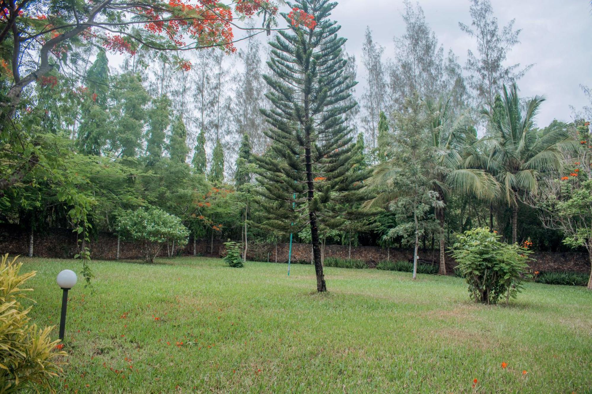 Kijani Cottages In Diani 迪亚尼海滩 外观 照片