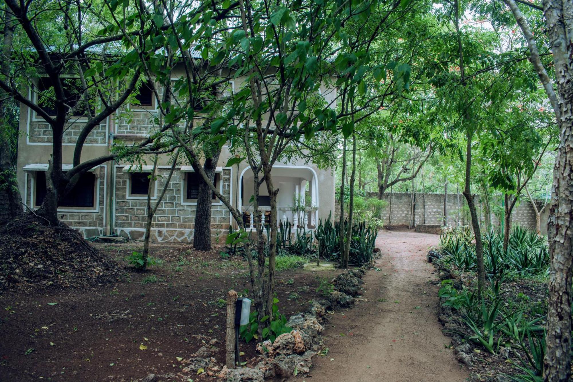 Kijani Cottages In Diani 迪亚尼海滩 外观 照片